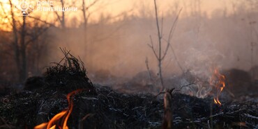 20 пожеж за добу в екосистемах Рівненщини: ситуація критична