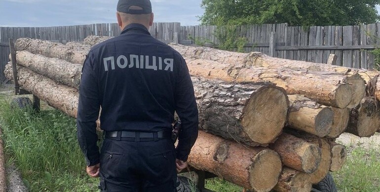 На Рівненщині на гарячому спіймали викрадачів деревини На Рівненщині на гарячому спіймали викрадачів деревини
