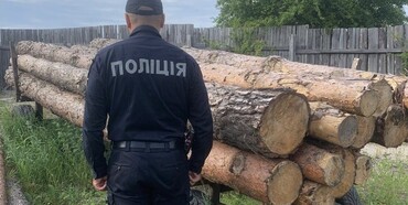 На Рівненщині на гарячому спіймали викрадачів деревини 