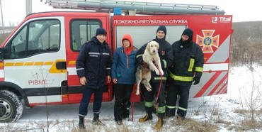 Рятувальники дістали собаку, що впала у глибокий колодязь
