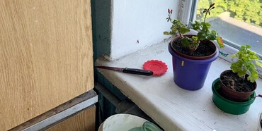У Рівному під час розпивання алкогольних напоїв жінка завдала ножових поранень знайомому 