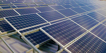 В Олександрії люди зупинили будівництво сонячної електростанції 