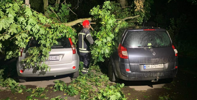 В Рівному рятувальники вивільнили 3 автомобілі від поваленого дерева 