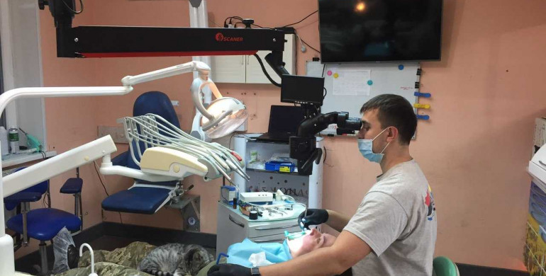 Рівненські стоматологи лікували військових в зоні АТО-ООС