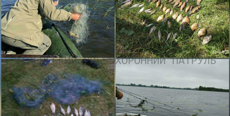«Ловись рибко, велика й маленька»:Рибпатруль викрив порушення зі збитками понад 10 тис. грн