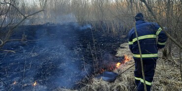 За минулу добу на Рівненщині люди вчинили  2 пожежі сухої трави
