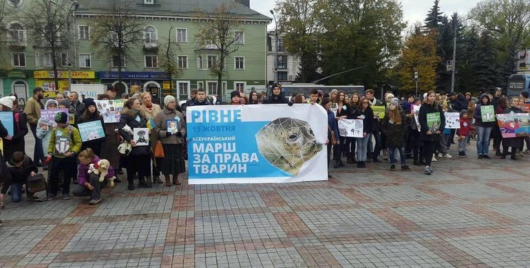 У Рівному мітингували за права тварин