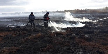 На Рівненщині продовжують гасити пожежі в екосистемах (ФОТО)