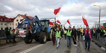 Польські виробники олії вимагають розблокування імпорту ріпаку з України