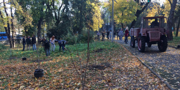 У парку Шевченка бізнесмени висаджують дерева (ФОТО)