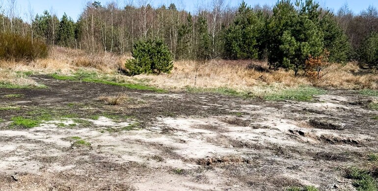 На Рівненщині судитимуть злочинну групу за забруднення земель відходами На Рівненщині судитимуть злочинну групу за забруднення земель відходами