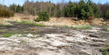 На Рівненщині судитимуть злочинну групу за забруднення земель відходами