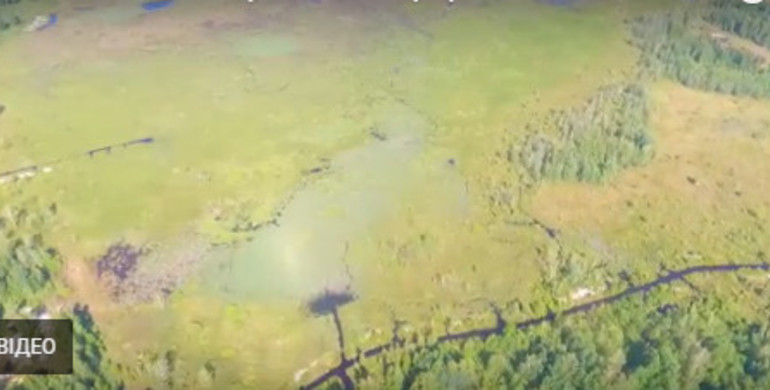 Рятувальники моніторять стан природних екосистем північних районів Рівненщини (Відео)