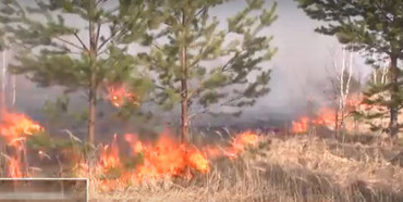 Рівненщина у вогні: рятувальники просять не палити суху траву