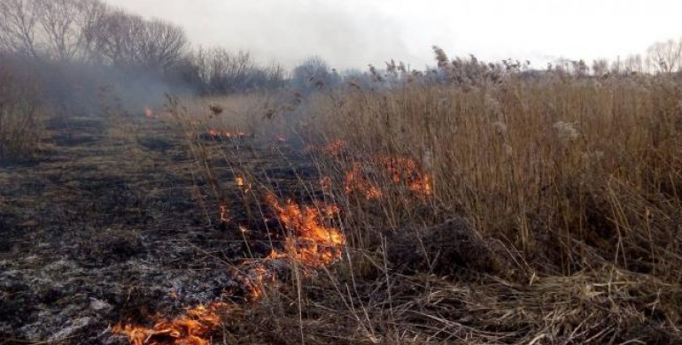 Вчора на Рівненщині тричі гасили підпали сухої трави