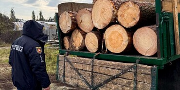 Два факти незаконної порубки лісу задокументували поліцейські на  Рівненщині