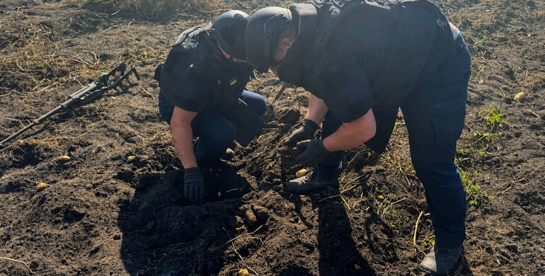 На Варащині піротехніки ДСНС знешкодили 50 авіаційних бомб часів Другої світової війни 
