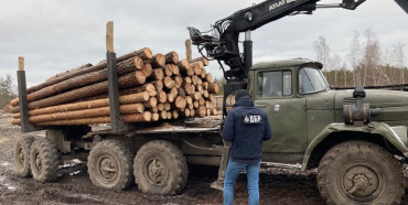 На Сарненщині лісничий залучив до незаконної вирубки та збуту лісу 