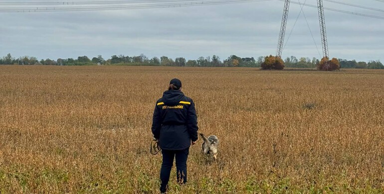 На Дубенщині тривають пошуки зниклого 81-річного чоловіка