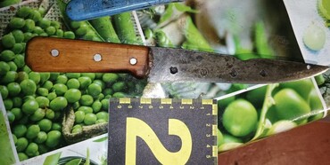 На Рівненщині затримали чоловіка, який вдарив ножем батька 