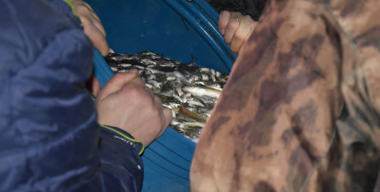 У ставок Гощі запустили 400 кілограм риби (ФОТО)
