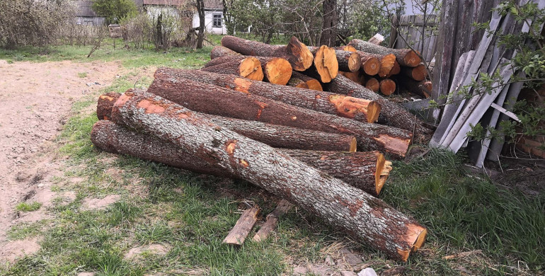 В Гощанському районі викрили чоловіка з незаконним лісом 