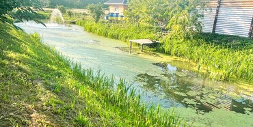 На Рівненщині на водоймі загинув 2- річний хлопчик