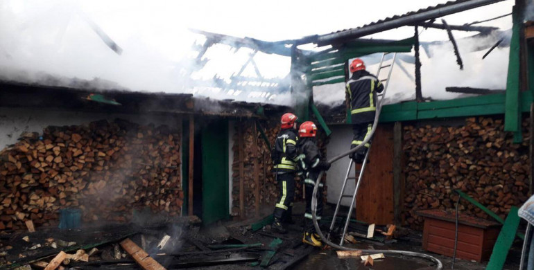 Пожежа у Березнівському районі: вогнеборці врятували тварин (ФОТО)