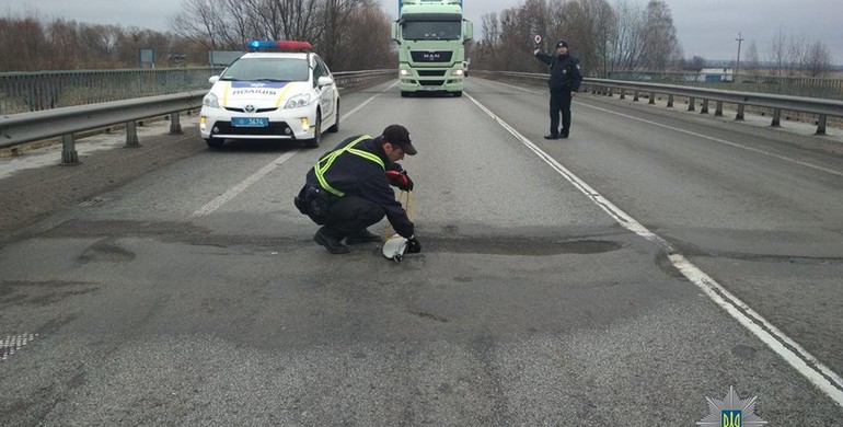 Траса "Київ-Чоп" в аварійних ямах - патрульні пишуть шляховиками штрафи