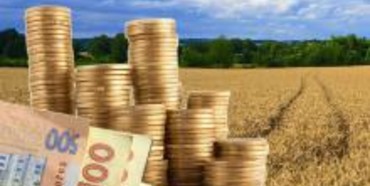 Фермери Рівненщини сплатили  85 мільйонів гривень податків