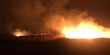 Біля Рівного вночі горіла трава