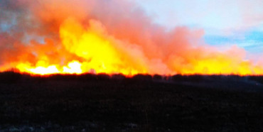 На Рівненщині спалахнув Нобельський парк: згоріло майже 300 гектарів боліт (ФОТО)
