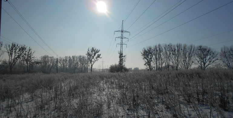 На Рівненщині енергетики активно ріжуть дерева, щоб ті не ламали "ліній"