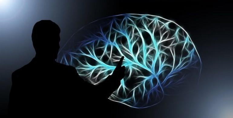 Вчені визначили вік, коли наш мозок працює на максималках