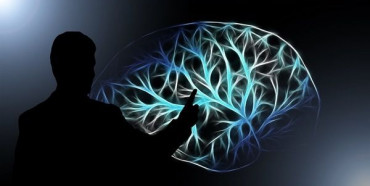 Вчені визначили вік, коли наш мозок працює на максималках