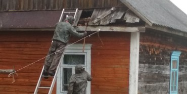 Рятувальники Рівненщини знешкодили шершнів, що оселились у житловому будинку