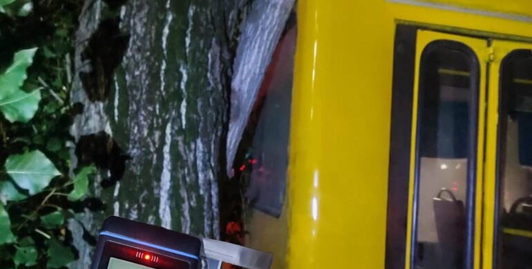 У Рівному  нетверезий перехожий сів за кермо маршрутки й врізався  у дерево