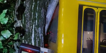 У Рівному  нетверезий перехожий сів за кермо маршрутки й врізався  у дерево