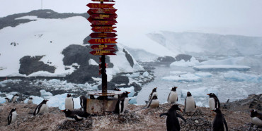 Covid-19 добрався до Антарктиди: захворіло 36 полярників
