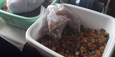 На Рівненщині поліція за один день знайшла більше тисячі кілограм бурштину