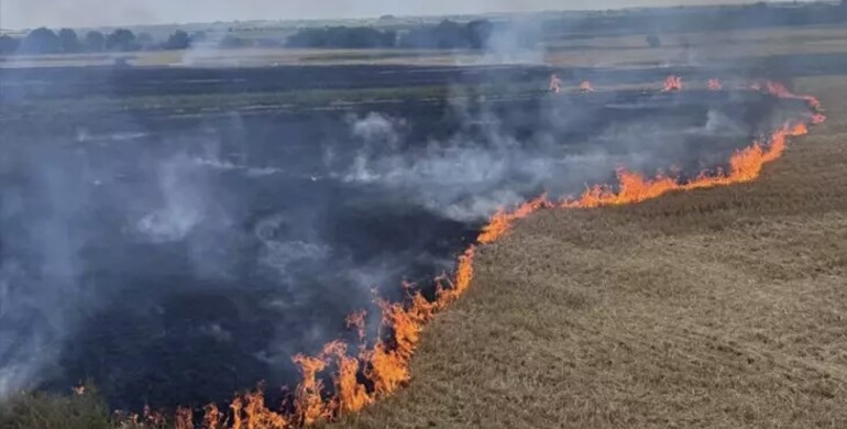 На Рівненщині під час пожежі післяжнивних залишків чоловік отримав опіки