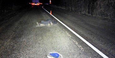 Поліцейські встановлюють особу загиблого пішохода після ДТП на Млинівщині 