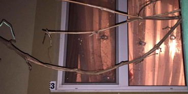 Вночі у Рівному обстріляли будинок голови міського суду (ФОТО)