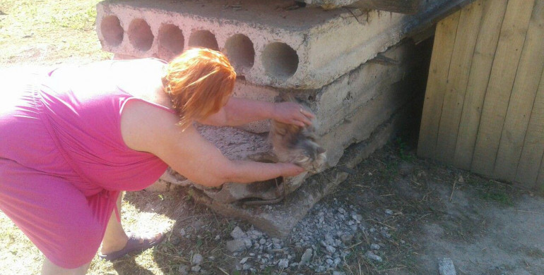 Як рятувальники на Рівненщині котика з труби визволяли (ФОТО)