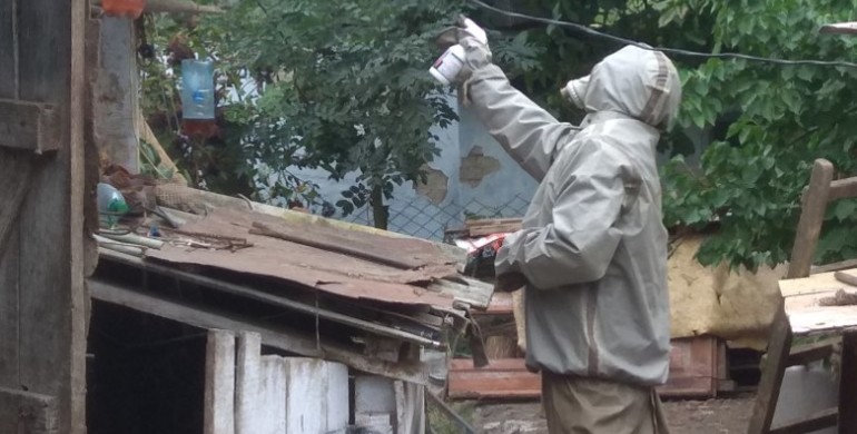 Рятувальники на Рівненщині вкотре знищили кубло агресивних комах