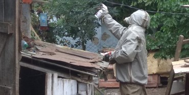 Рятувальники на Рівненщині вкотре знищили кубло агресивних комах