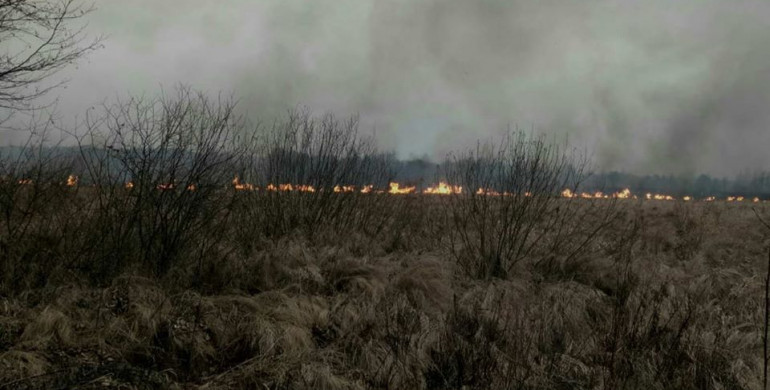 На Рівненщині пожежа знищила пів гектара поля (ФОТО)