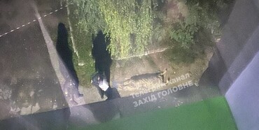 З гуртожитку аграрного коледжу стрибнула неповнолітня дівчина 