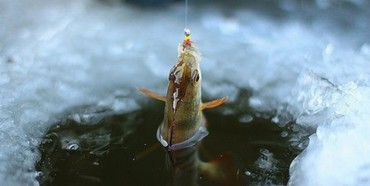 На Рівненщині встановлено заборону на вилов риби у зимувальних ямах