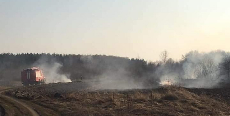 На Сарненщині до відповідальності притягнули чотирьох паліїв трави